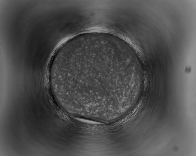 X0000103321358200810171352