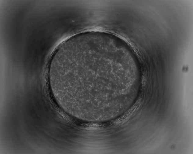 X0000103321359200810171352