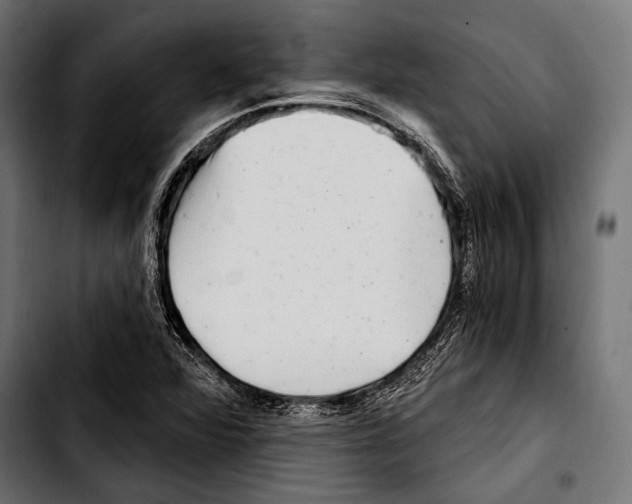X0000103321360200810171352