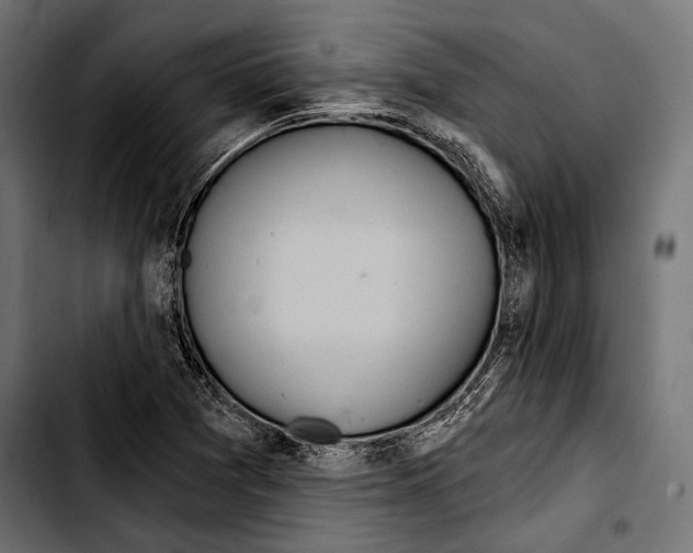 X0000103321361200810171352
