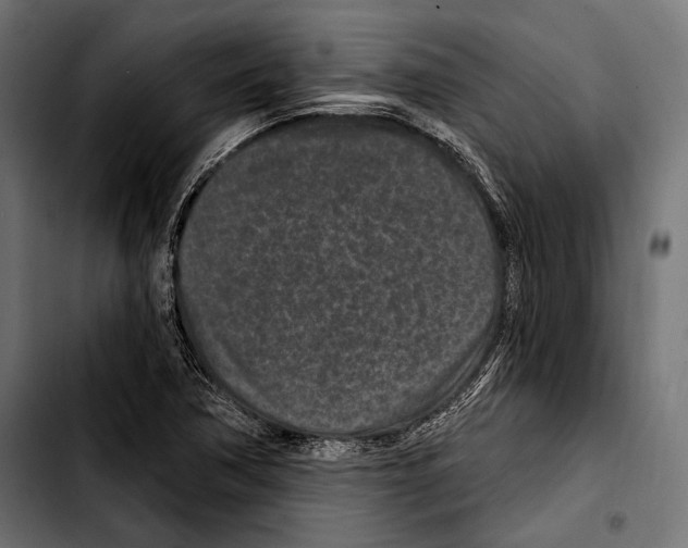 X0000103321362200810171352