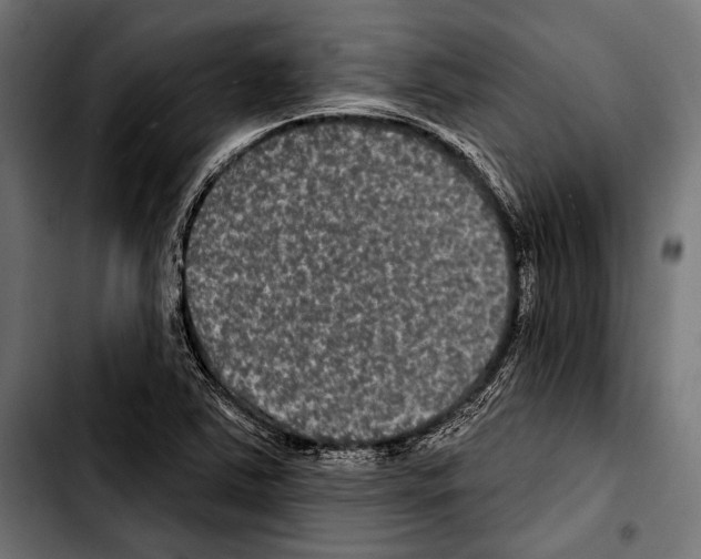 X0000103321363200810171352