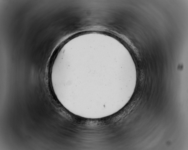 X0000103321364200810171352