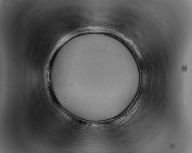 X0000103321365200810171352
