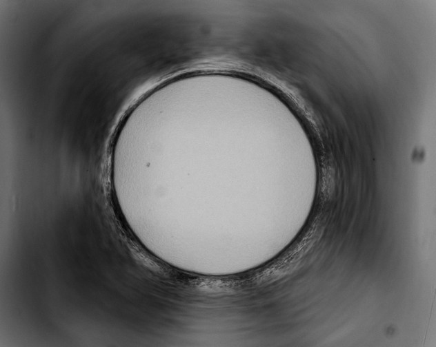 X0000103321366200810171352