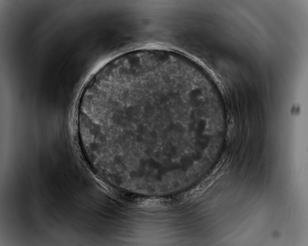 X0000103321367200810171352