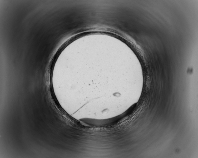 X0000103321368200810171352