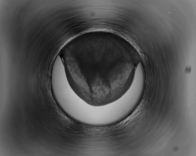X0000103321369200810171352