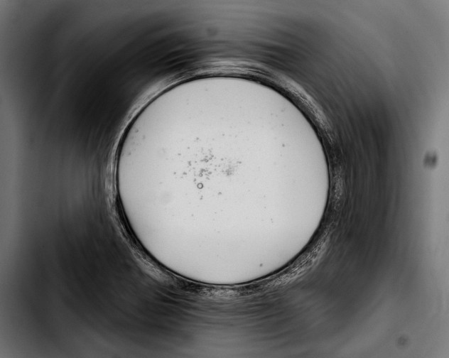 X0000103321370200810171352