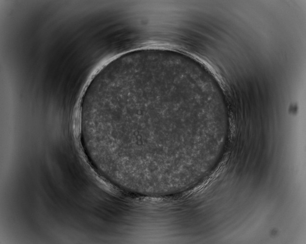 X0000103321371200810171352