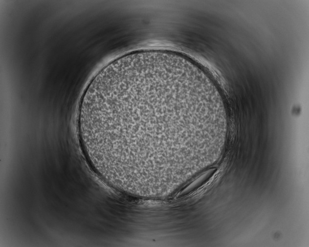 X0000103321374200810171352
