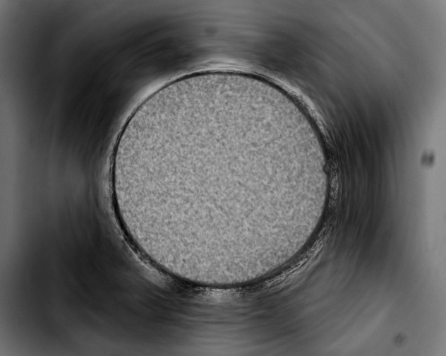X0000103321375200810171352