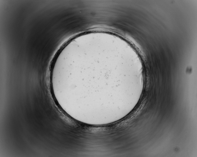 X0000103321376200810171352