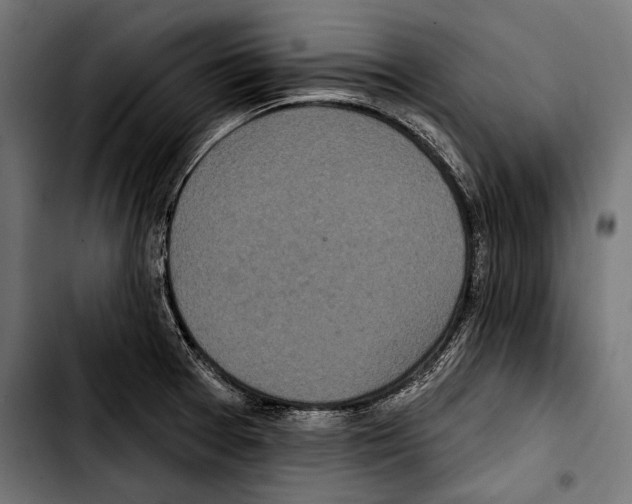 X0000103321377200810171352