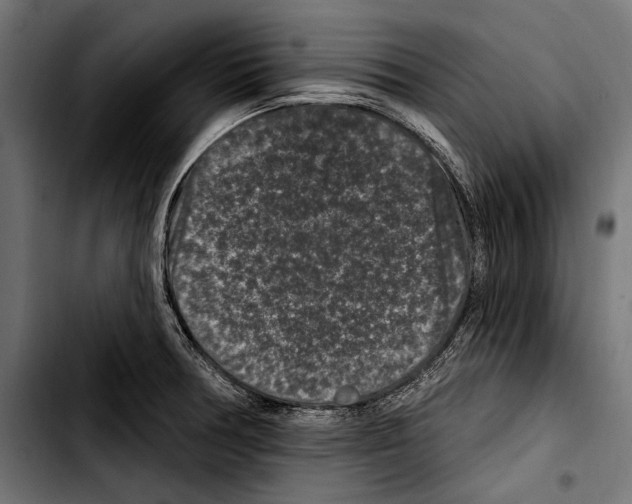 X0000103321378200810171352