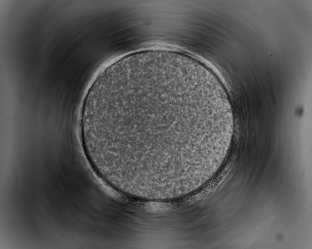 X0000103321379200810171352