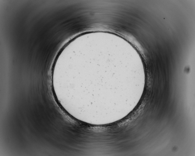 X0000103321380200810171352
