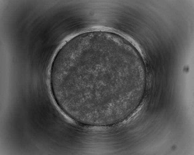 X0000103321381200810171351