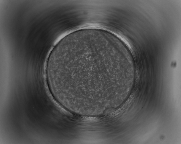 X0000103321382200810171351