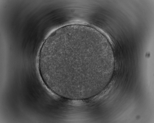 X0000103321383200810171351