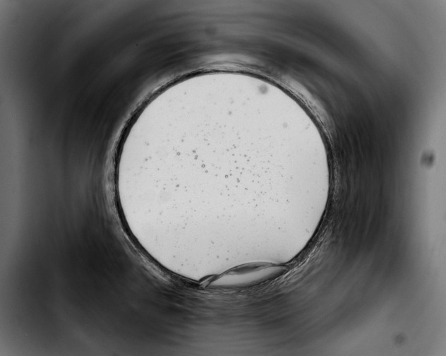X0000103321384200810171351