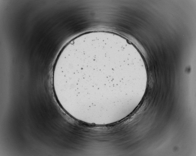 X0000103321388200810171351