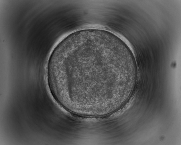 X0000103321389200810171351