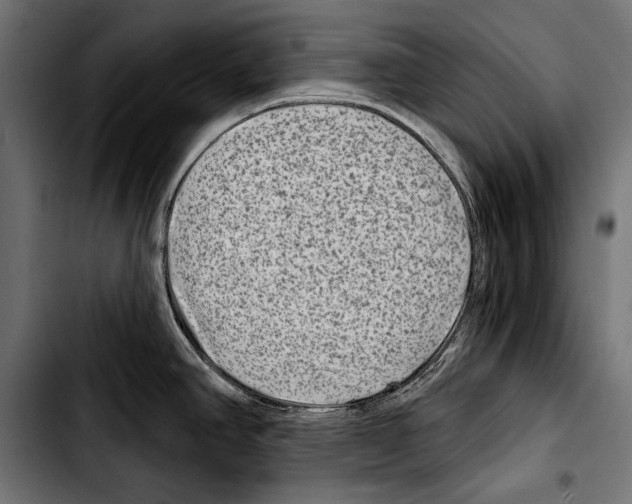X0000103321390200810171351