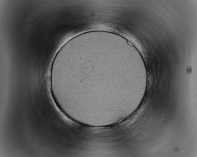 X0000103321391200810171351