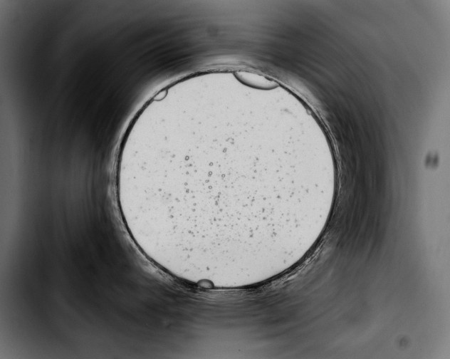 X0000103321392200810171351