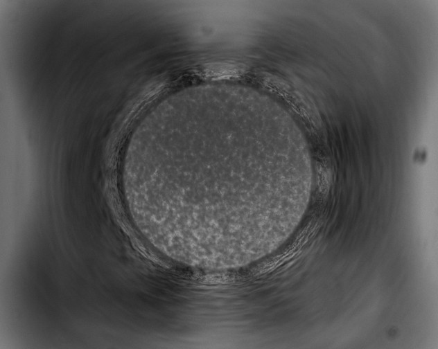 X0000103321393200810171351