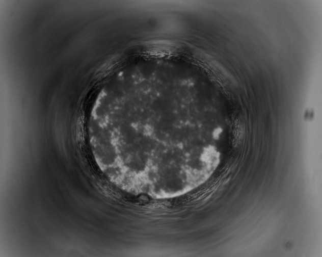 X0000103321394200810171351