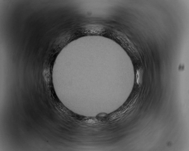 X0000103321395200810171351