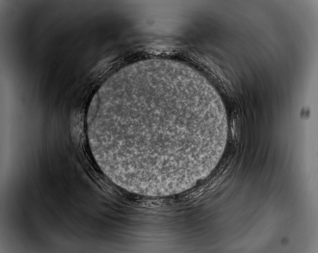X0000103321396200810171351
