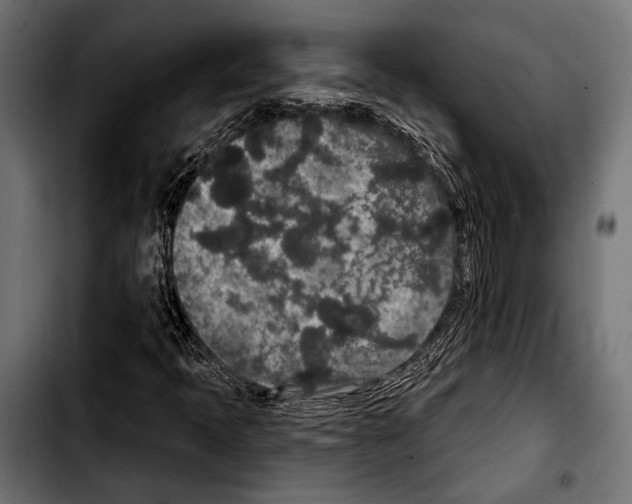 X0000103321397200810171351