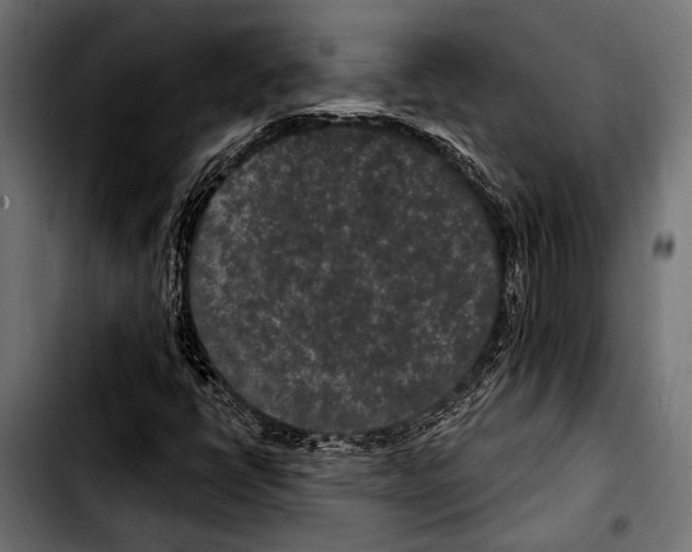 X0000103321398200810171351