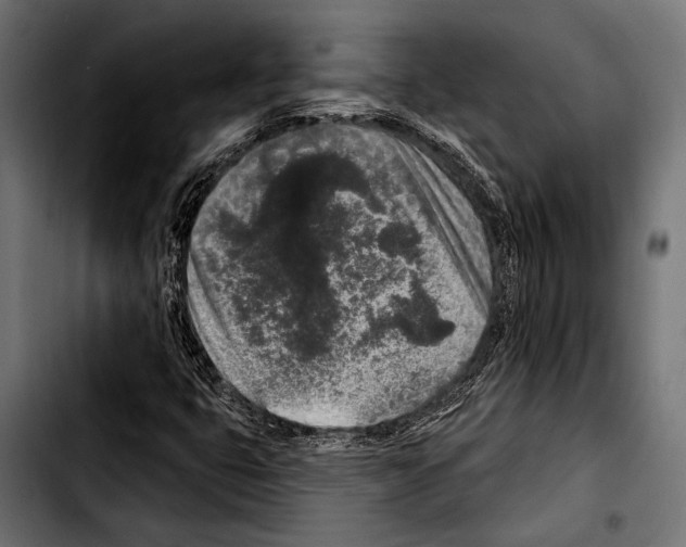 X0000103321399200810171351