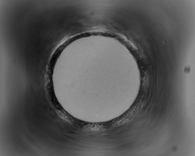 X0000103321400200810171351