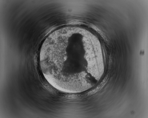 X0000103321401200810171351