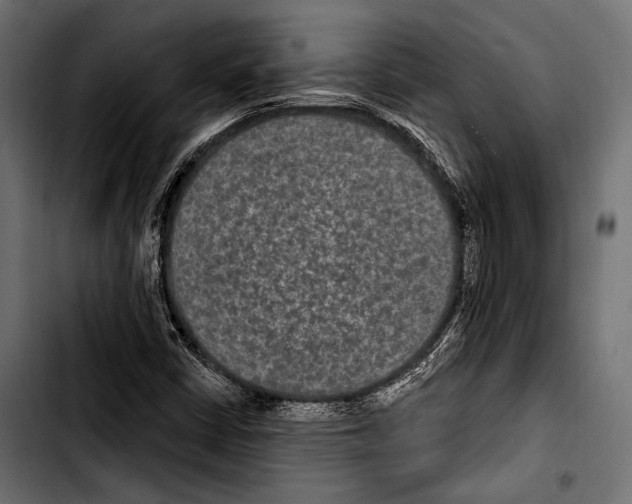 X0000103321402200810171351