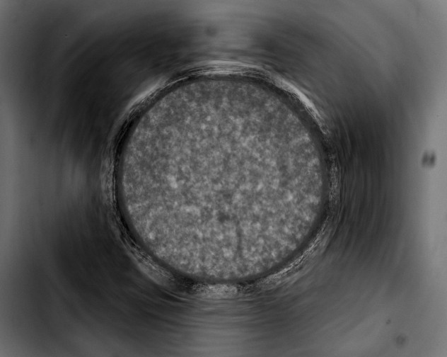 X0000103321403200810171351