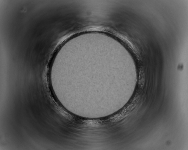X0000103321404200810171351