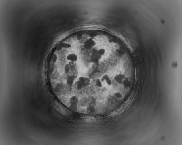 X0000103321405200810171351