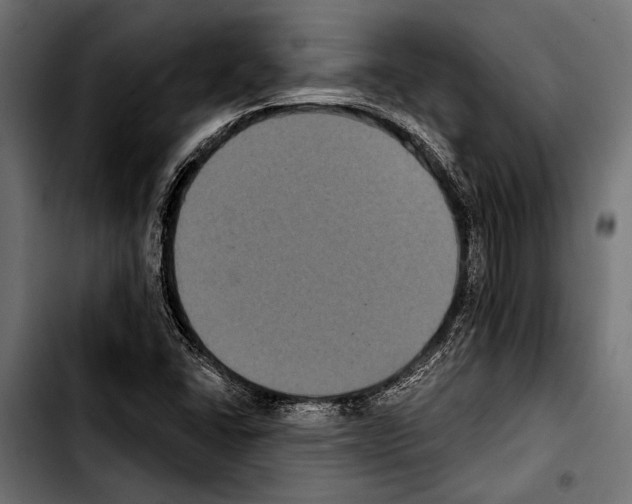 X0000103321406200810171351