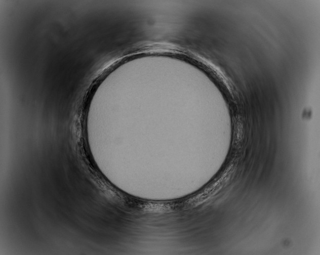 X0000103321407200810171351
