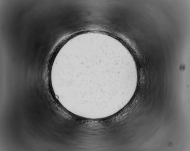 X0000103321408200810171351