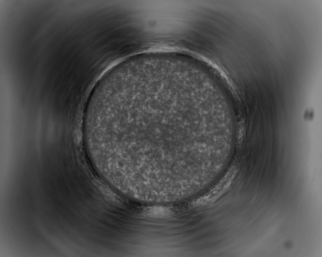 X0000103321409200810171351