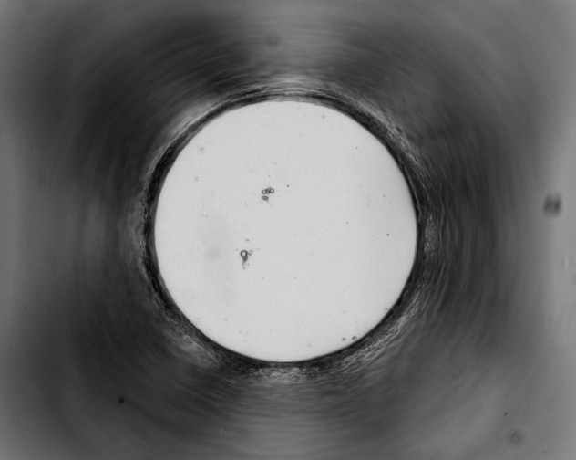 X0000103321410200810171351