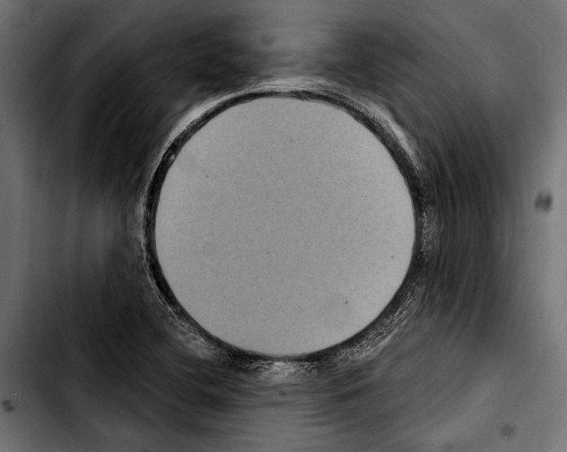X0000103321412200810171351