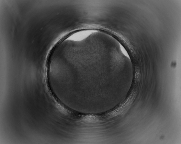 X0000103321414200810171351